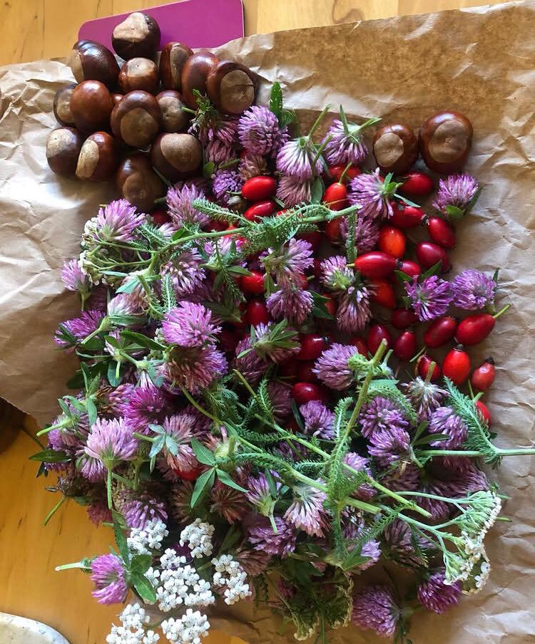 whatsapp image 2025 12 01 at 13.55.46 (2)