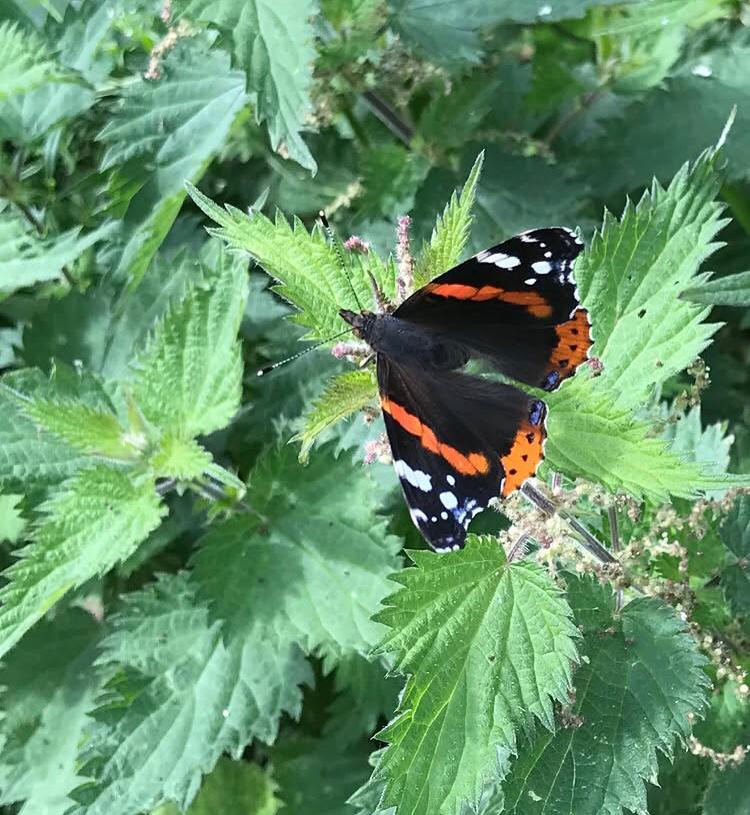 whatsapp image 2025 12 01 at 13.55.47 (7)