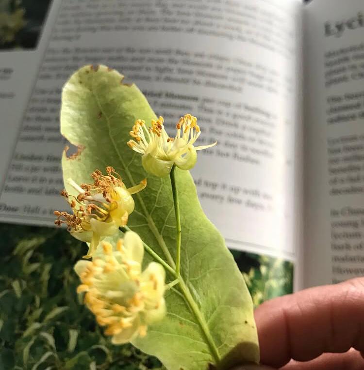 whatsapp image 2025 12 01 at 13.55.47 (8)