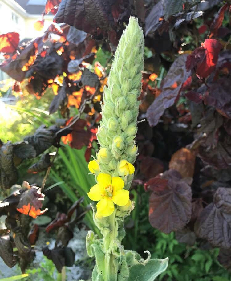 whatsapp image 2025 12 01 at 13.55.47 (9)