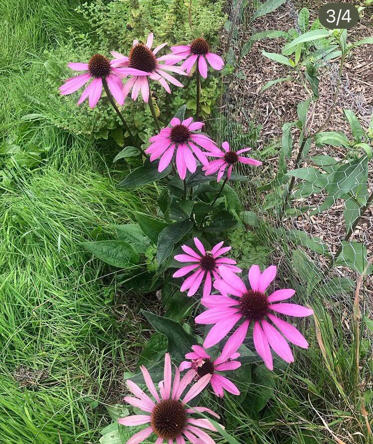 whatsapp image 2025 12 01 at 13.55.47